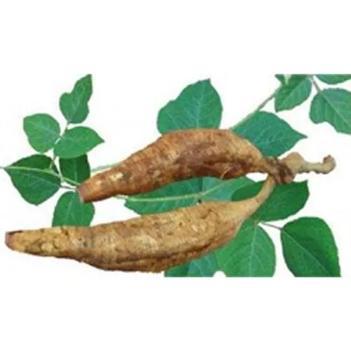 Pueraria