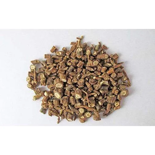 Bupleurum
