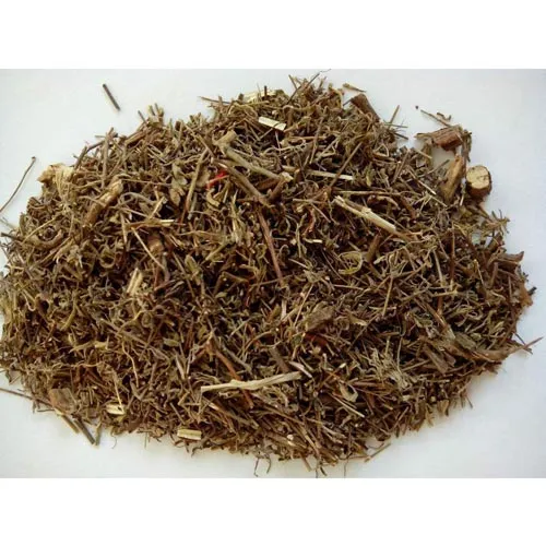 Mosla Herbes