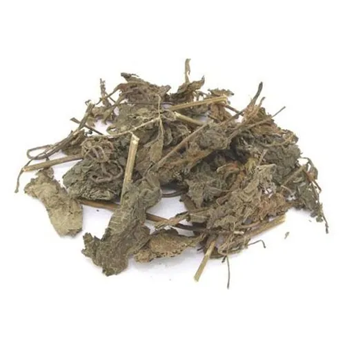 Feuilles de basilic