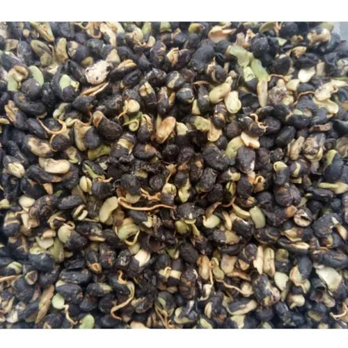 Rouleaux de haricots