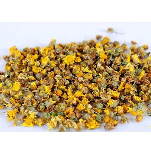 Chrysanthème sauvage