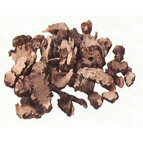 Rhizome de liliacées