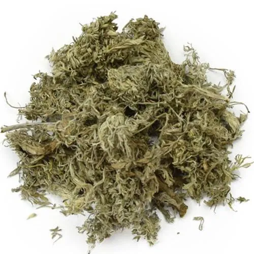 Artemisia capillaire