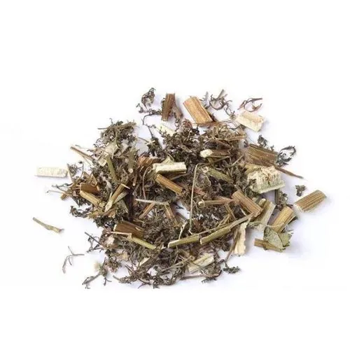 Artemisia annuelle