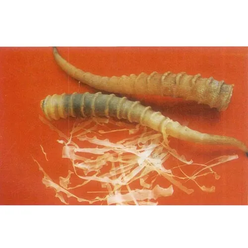 Corne d'antilope