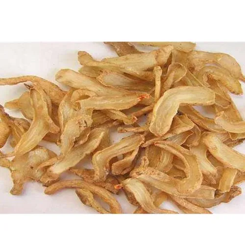 Gastrodia elata