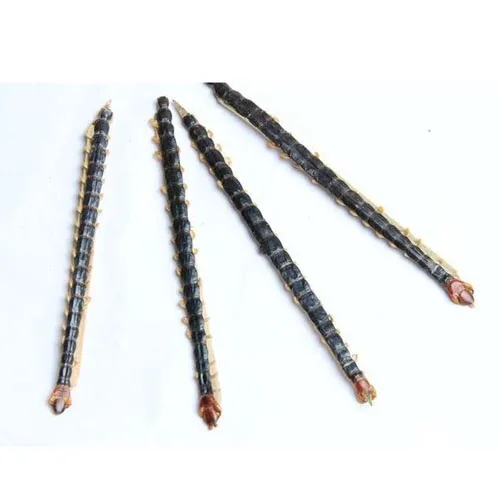Mille-Pattes