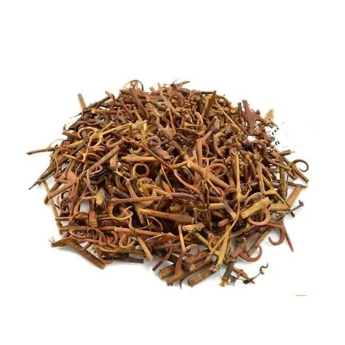 Uncaria rhynchophylla