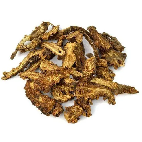 Notopterygium inchum Ting