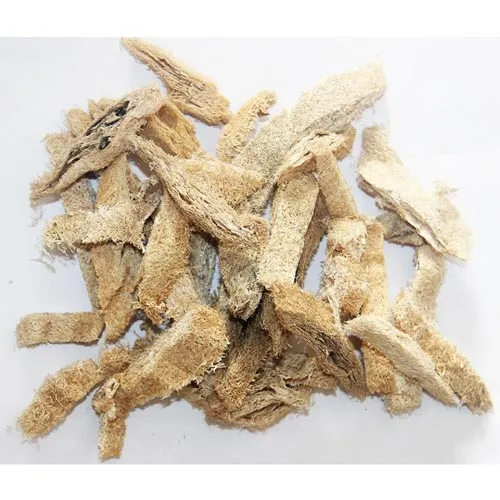 Luffa