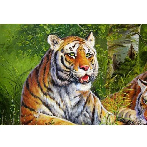 Os de tigre