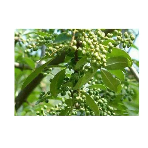 Poivre de Sichuan