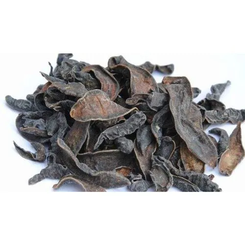 Sangsue