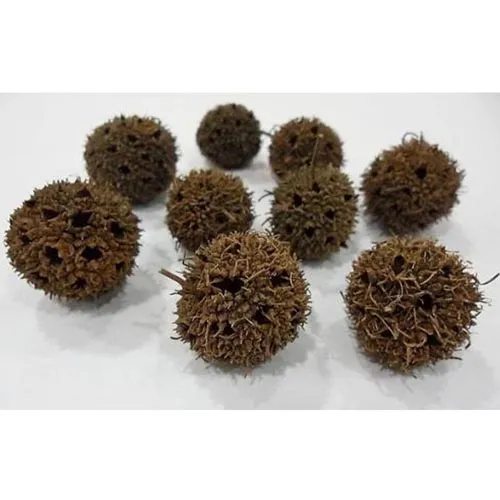 Copalme de formose