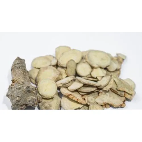 Panax notoginseng