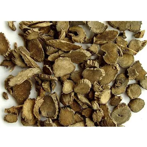 Cyathula officinalis