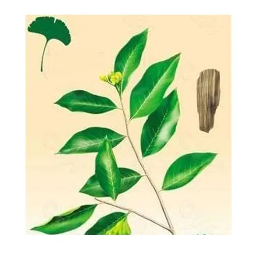 Bois d'agar