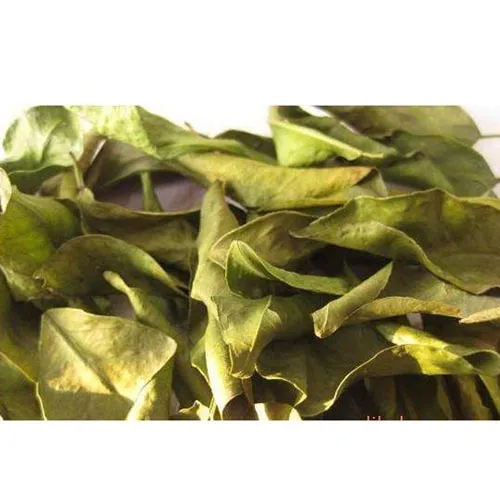 Feuille d'oranger