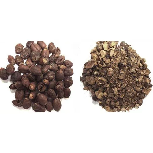 Noyau de litchi
