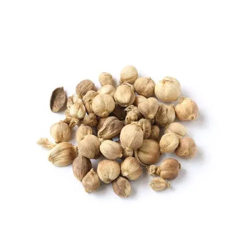 Cardamome violet