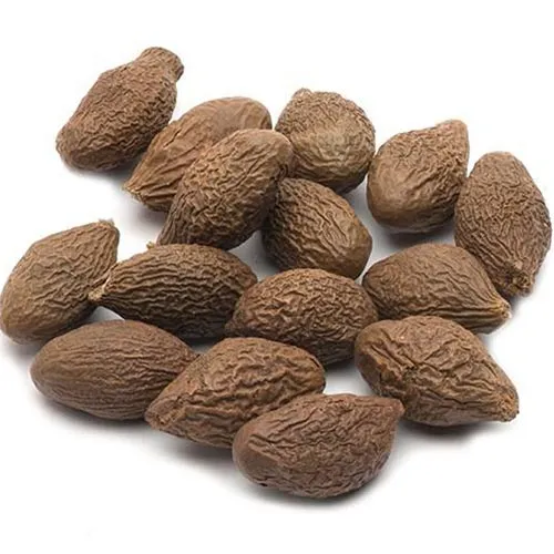 Fruit de la scaphiglotte