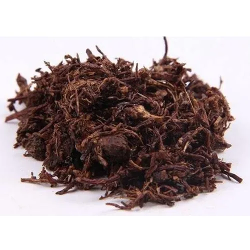 Aster de Tartarie