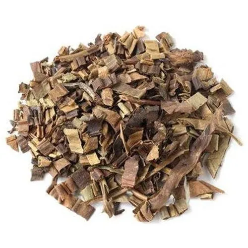 Pyrrosia lingua