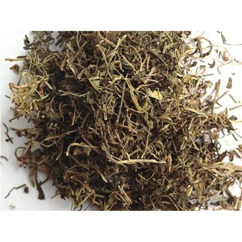Lobelia
