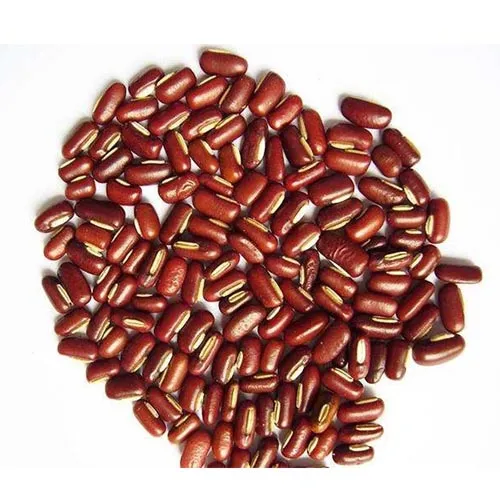Vigna umbellata