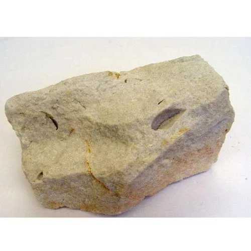 Étamines calcinées