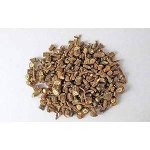 Bupleurum