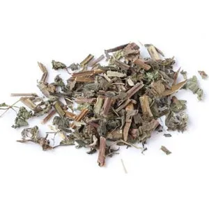 Menthe