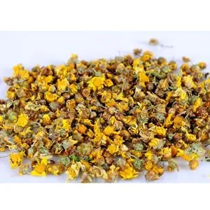 Chrysanthème sauvage