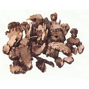 Rhizome de liliacées