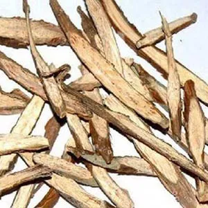 Dichroa febrifuga