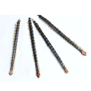 Mille-Pattes