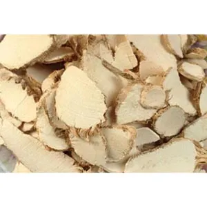 Sparganium