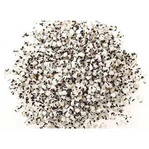 Vaccaria segetalis