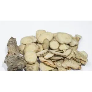Panax notoginseng