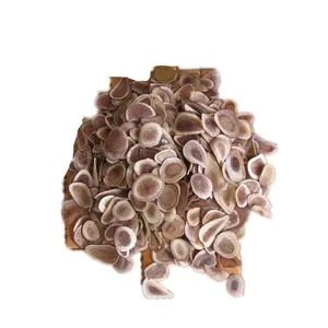 Tranches de bois