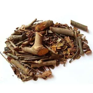 Taxillus chinensis