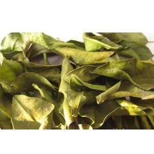 Feuille d'oranger