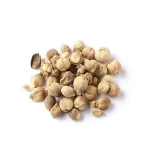 Cardamome violet