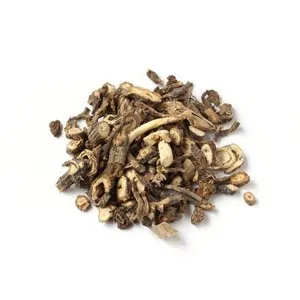Peucedanum praeruptorum Dunn