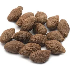 Fruit de la scaphiglotte