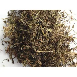 Lobelia