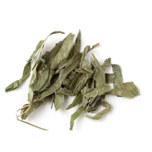Feuilles de bambou clair