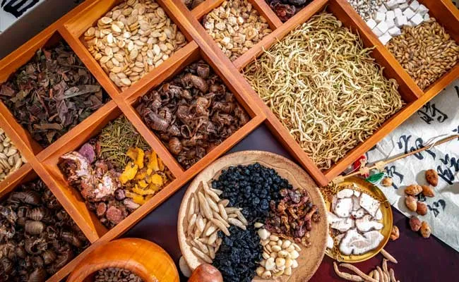 Phytothérapie avec les herbes et plantes