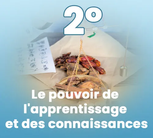 Connaissances Connaissances